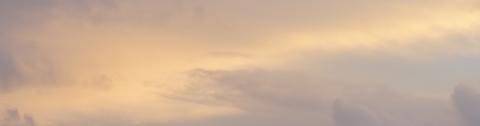 MayaDarmon's profile banner